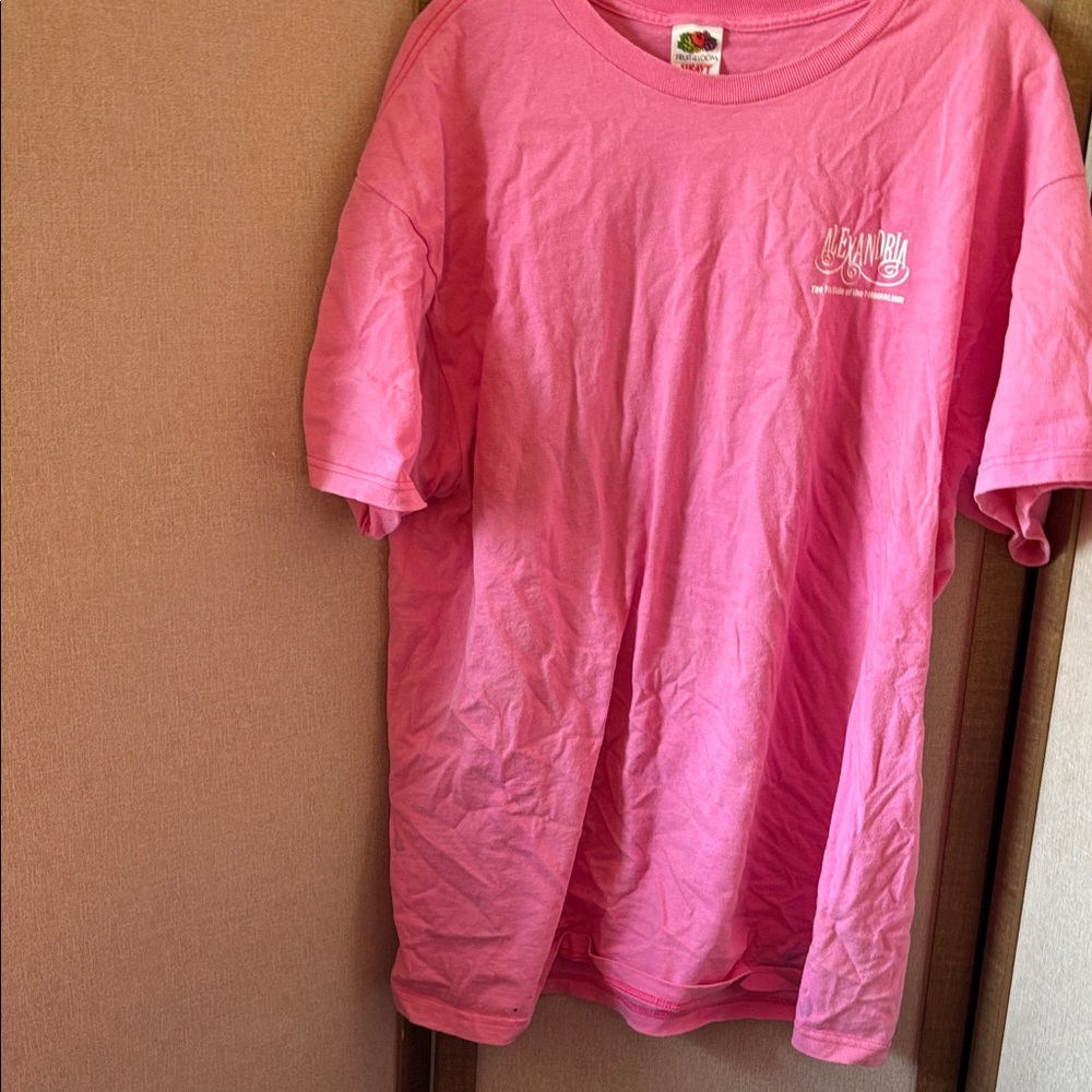 FINAL MARKDOWN Alexandria oversized Fruit of the Loom Vibrant Pink Tee xl